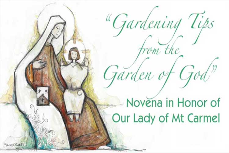 Novena in honor of Our Lady of Mt. Carmel